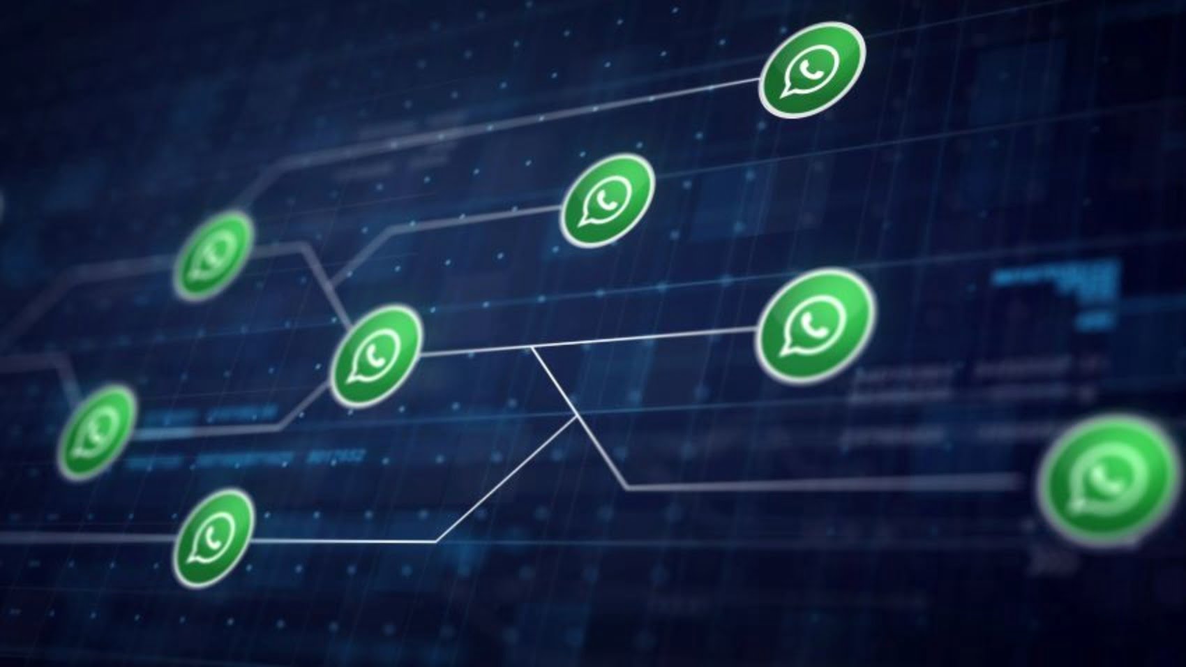 WhatsApp Business API: Tudo o que Você Precisa Saber